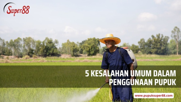 5 Kesalahan Umum dalam Penggunaan Pupuk dan Solusinya dengan Pupuk Super88